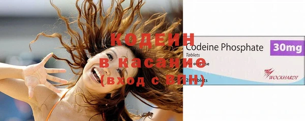 прущие грибы Алексеевка
