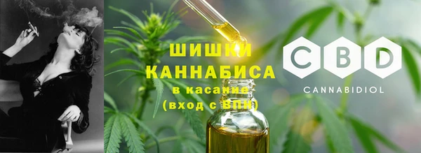 гидропоника Гусь-Хрустальный