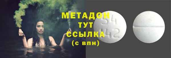 прущие грибы Алексеевка