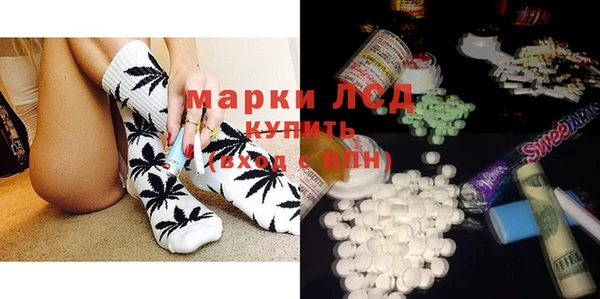 прущие грибы Алексеевка