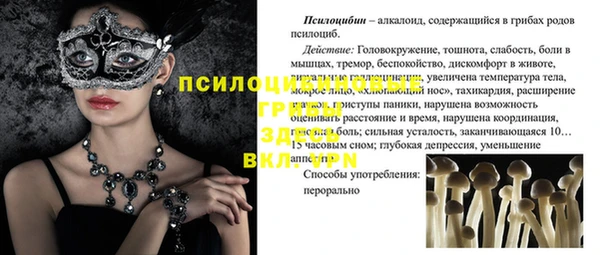 прущие грибы Алексеевка
