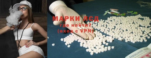 прущие грибы Алексеевка