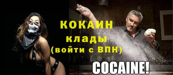 спайс Гусев