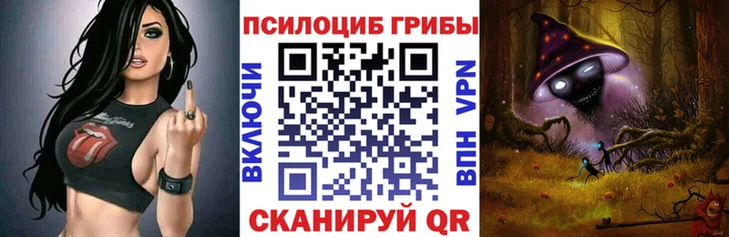 где можно купить наркотик  ссылка на мегу ТОР  Галлюциногенные грибы Magic Shrooms  Сковородино 